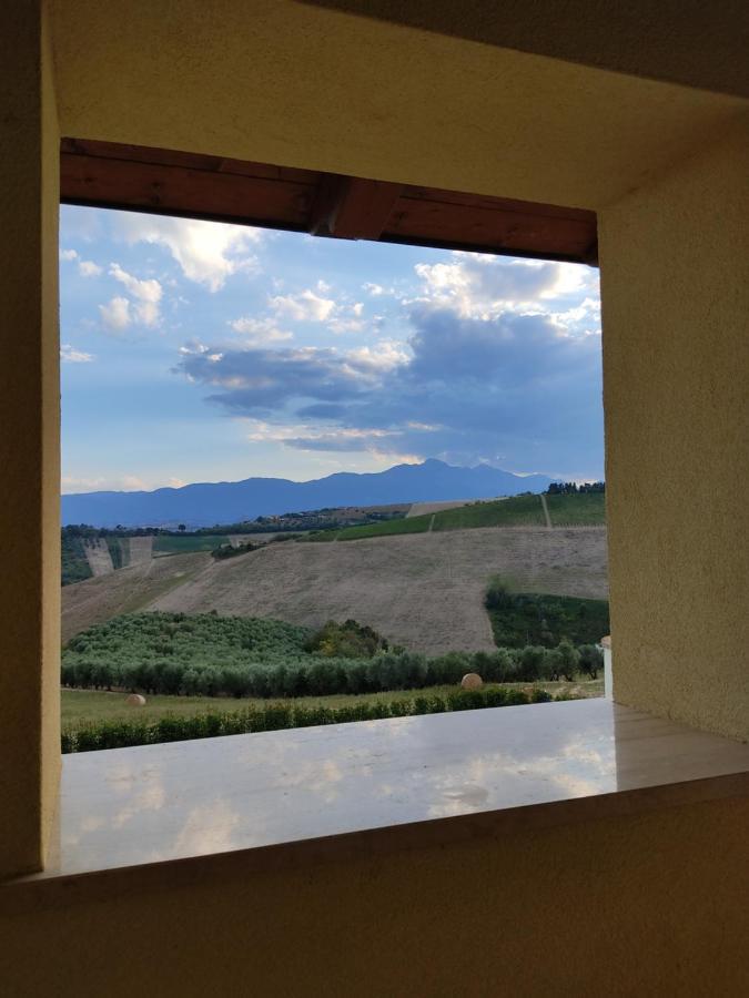 Agriturismo Terra Dei Falchi Castilenti Dış mekan fotoğraf