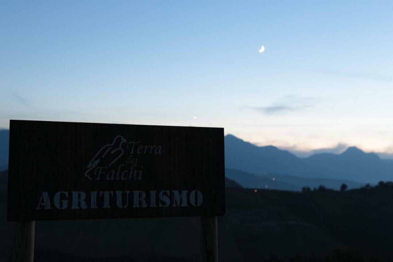 Agriturismo Terra Dei Falchi Castilenti Dış mekan fotoğraf